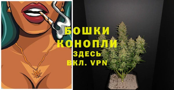 СК Кодинск