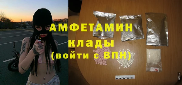 крисы Козловка