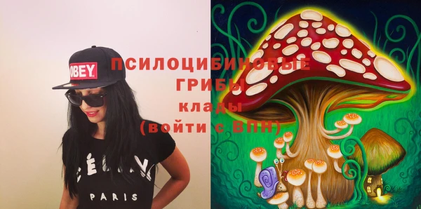 крисы Козловка